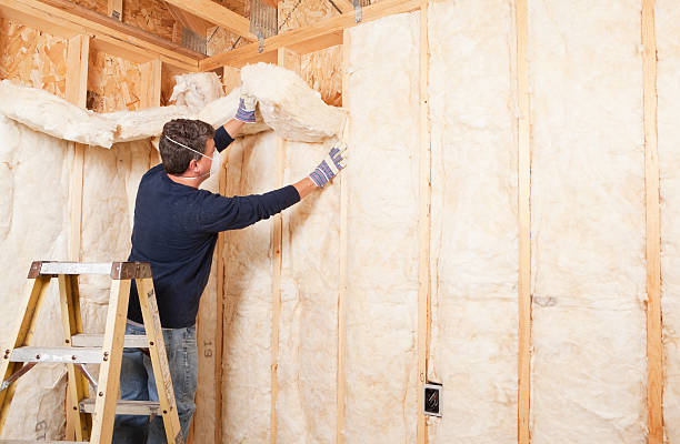 Best Soundproof Insulation in Carbon Hill, AL